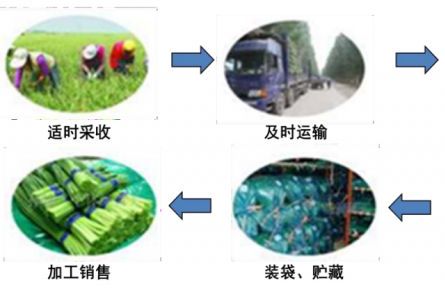 13、成果名稱：大宗蔬菜簡約物流保鮮技術