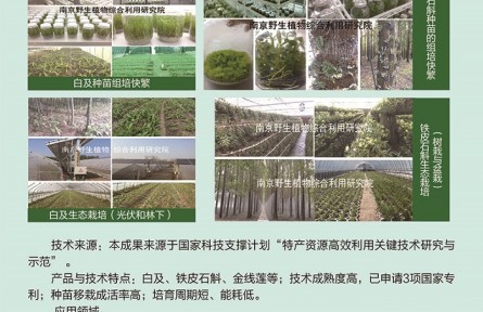 功能性植物種苗工廠化組培快繁、生態(tài)立體種植及高值產(chǎn)品開(kāi)發(fā)