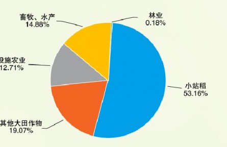 天津農(nóng)村產(chǎn)權(quán)交易所助力設(shè)施農(nóng)業(yè)建設(shè)