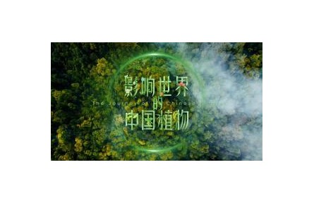 影響世界的中國植物 第10集 花卉