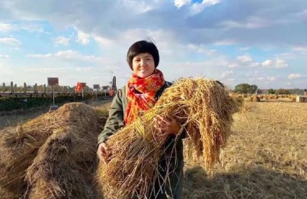 全國三八紅旗手陳雨佳：黑土地上的“新農(nóng)人”