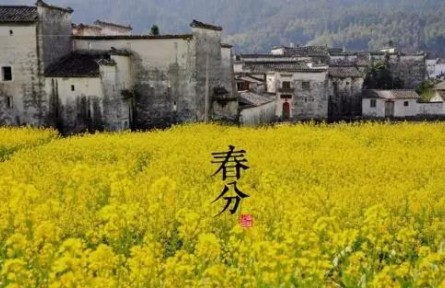 春暖花開(kāi)，今日春分