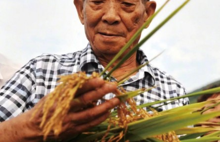 面向國民經(jīng)濟(jì)主戰(zhàn)場的新中國農(nóng)業(yè)科技