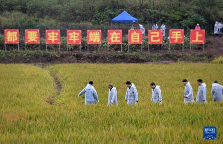 “國(guó)家科技創(chuàng)新力的根本源泉在于人”——習(xí)近平關(guān)心科技工作者的故事