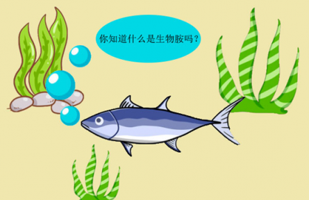 科普 | 生物胺是什么？