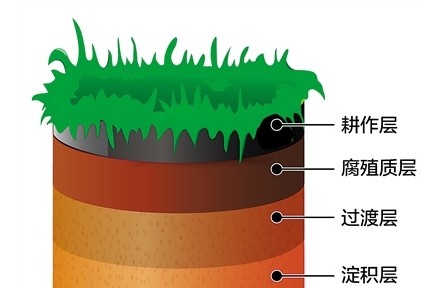 科普 | 黑土地為什么是黑色的？