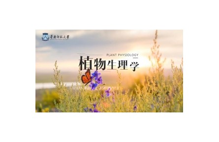 《植物生理學(xué)》課程系列視頻