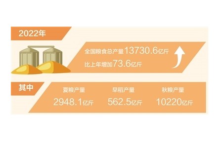 2022年全國糧食產(chǎn)量穩(wěn)中有增 連續(xù)8年穩(wěn)定在1.3萬億斤以上