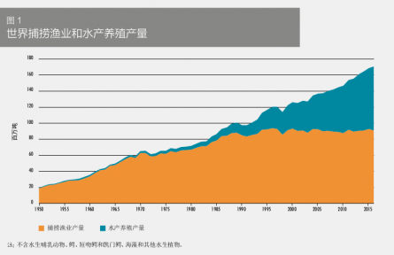 科普 | 在海洋中“放牧”——海洋如何變糧倉(cāng)？