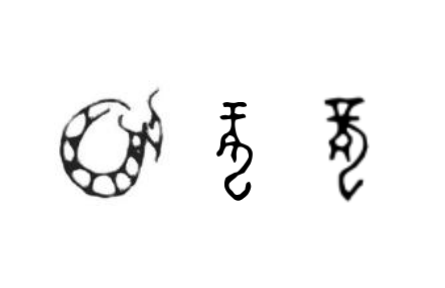 咬文嚼字 |“龍”，你到底是什么？