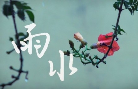 雨水：執(zhí)傘迎春雨 邂逅詩意中國