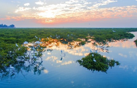 廣西：生物多樣性保護的“系統(tǒng)解決方案”