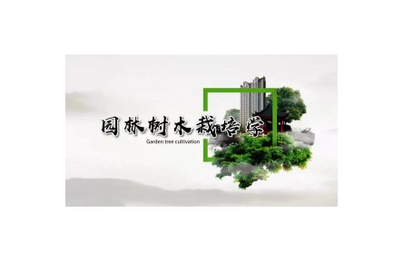 《園林樹(shù)木栽培學(xué)》課程系列視頻