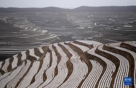 甘肅靜寧：農(nóng)田高標準 春耕底氣足