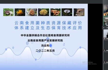 中華全國供銷合作總社昆明食用菌研究所“云南食用菌種質(zhì)資源收集保存、鑒定評價和生態(tài)促繁技術應用”成果評價公告【2022（47號）】