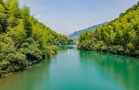 全國(guó)生態(tài)日記者行 | 點(diǎn)“水”亦成金——解鎖浙江省杭州市余杭區(qū)青山村生態(tài)富民密碼