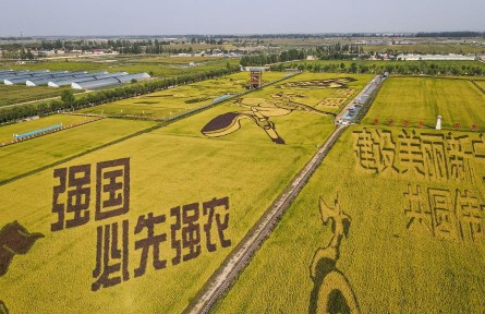 用好黃河水 種出好“豐”景——寧夏賀蘭縣探索節(jié)水增效“一田多產”新路徑