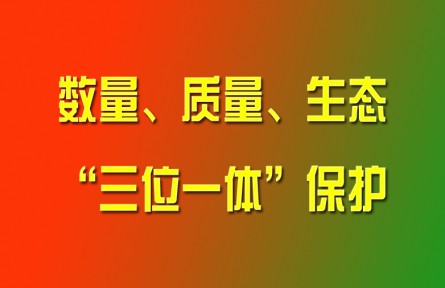 習(xí)近平論強化耕地數(shù)量、質(zhì)量、生態(tài)“三位一體”保護