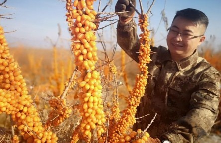 中國青年五四獎?wù)芦@得者王軍揚(yáng)：為鄉(xiāng)村振興貢獻(xiàn)智慧和力量