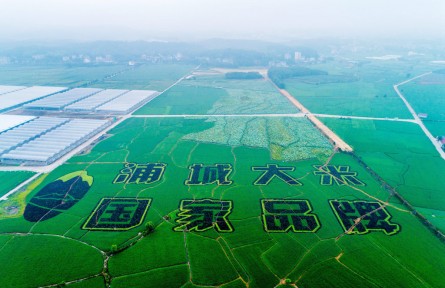 福建浦城：科技賦能，大米產(chǎn)業(yè)邁進(jìn)數(shù)字化時(shí)代