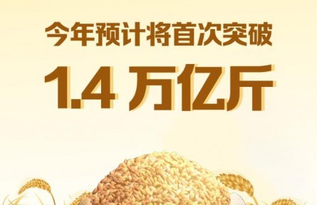 今年糧食產(chǎn)量預計將首次突破1.4萬億斤