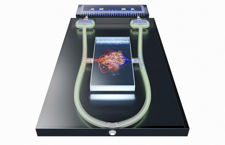 科技名詞|介電電泳 dielectrophoresis；DEP